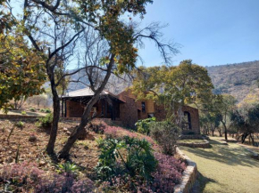 Leopard Cove Chalets